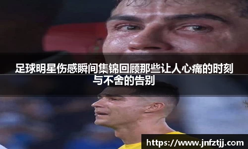 yy体育